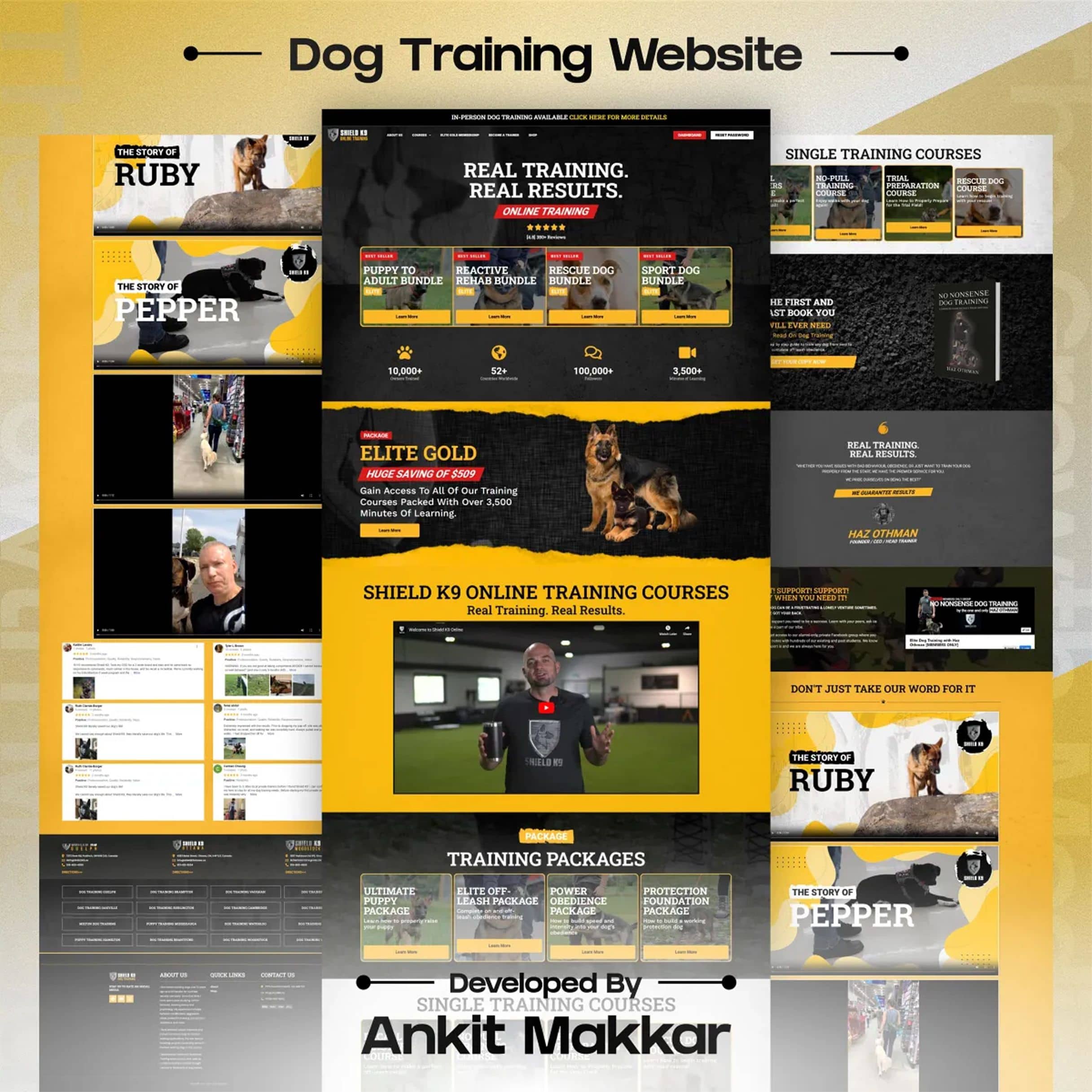 SHIELD K9 — course website preview